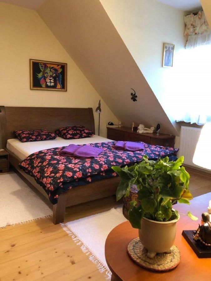 Willa Nad Popradem Bed & Breakfast Piwniczna-Zdroj Ngoại thất bức ảnh