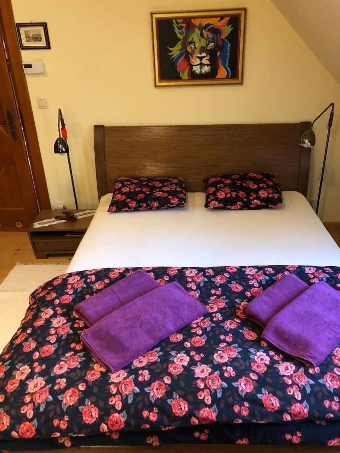 Willa Nad Popradem Bed & Breakfast Piwniczna-Zdroj Ngoại thất bức ảnh