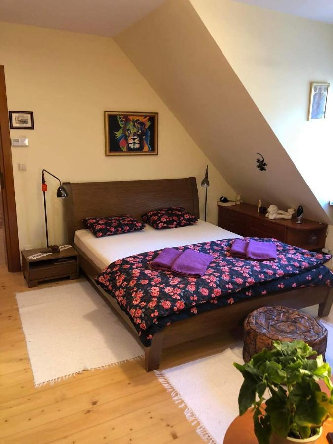 Willa Nad Popradem Bed & Breakfast Piwniczna-Zdroj Ngoại thất bức ảnh