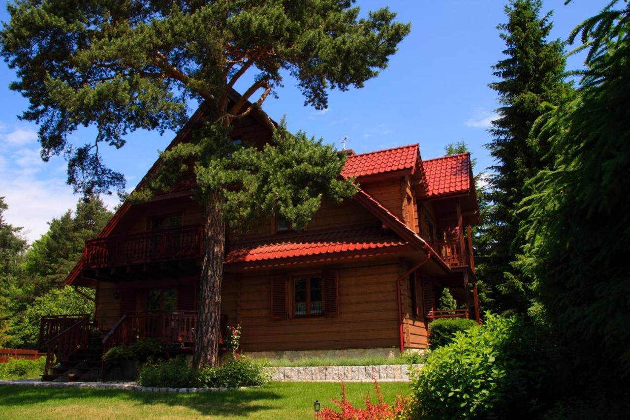 Willa Nad Popradem Bed & Breakfast Piwniczna-Zdroj Ngoại thất bức ảnh