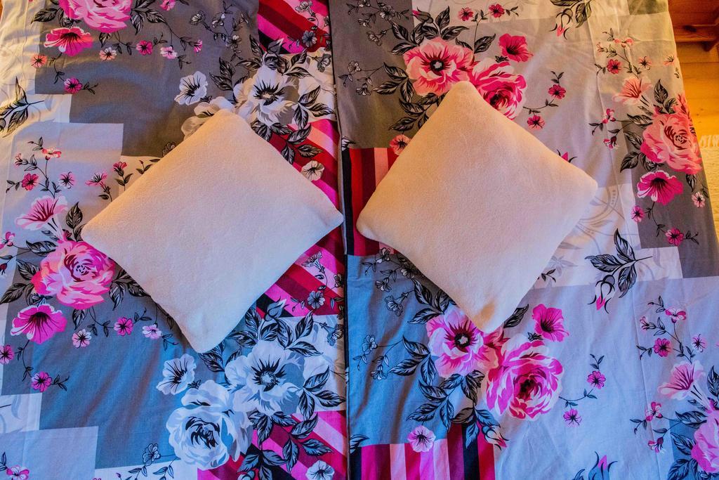 Willa Nad Popradem Bed & Breakfast Piwniczna-Zdroj Ngoại thất bức ảnh